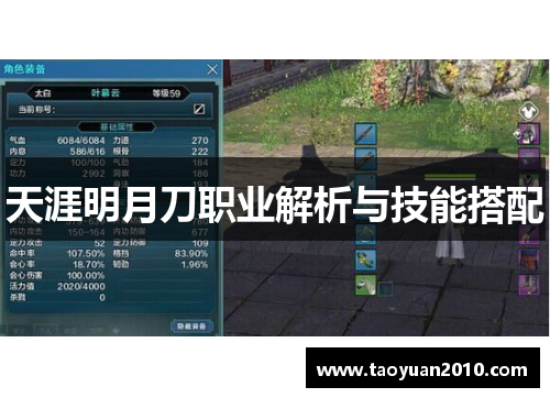 天涯明月刀职业解析与技能搭配